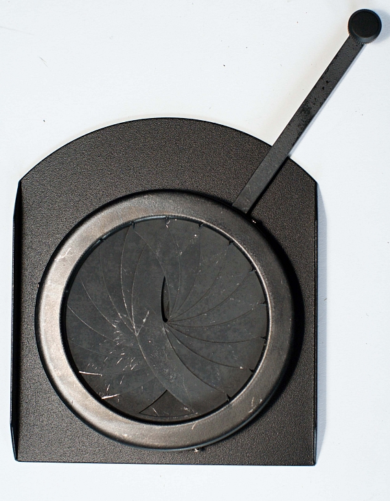 Iris.clona ETC s BO, ALP