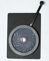 Iris.clona Pacific bez BO, ALP