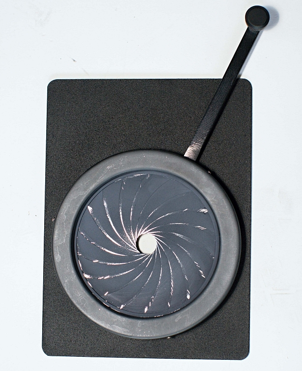 Iris.clona Pacific bez BO, ALP