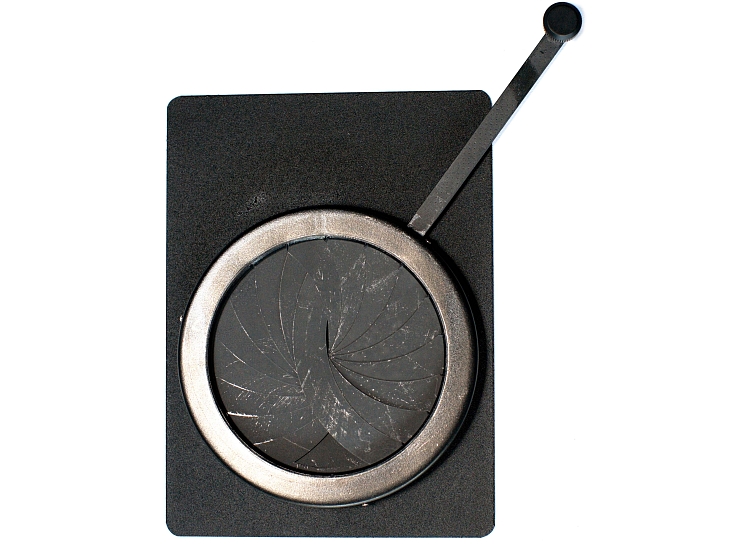 Iris.clona Pacific s BO , ALP