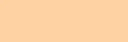 fol.E-Colour č.009 Pale Amber Gold