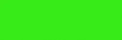 fol.Supergel č.89 Moss Green