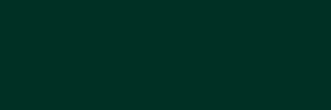 fol.Supergel č.91 Primary Green