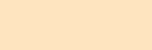 fol.E-Colour č.103 Straw