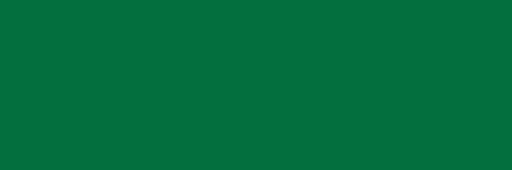 fol.E-Colour č.139 Primary Green