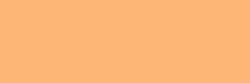 fol.E-Colour č.204 Full Ct Orange