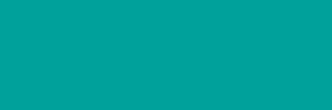 fol.E-Colour č.219 Fluorescent Green