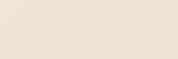 fol.E-Colour č.223 Eighth CT Orange