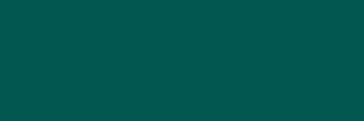 fol.E-Colour č.325 Mallard Green