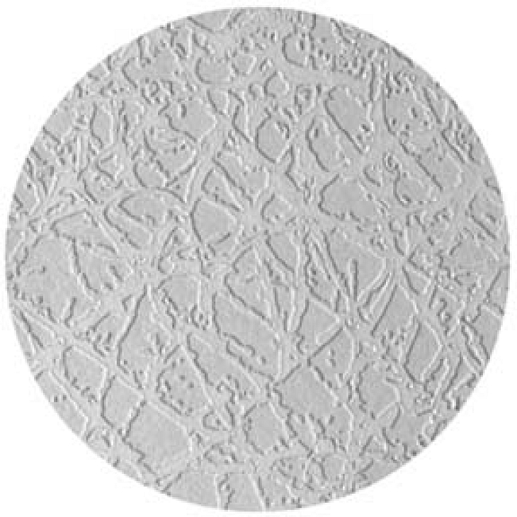 gobo 33613 - Winter Frost