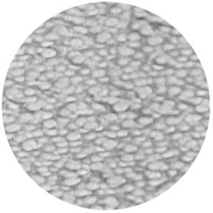 gobo 33614 - Blistrers