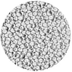 gobo 33615 - Coalescing Bubbles