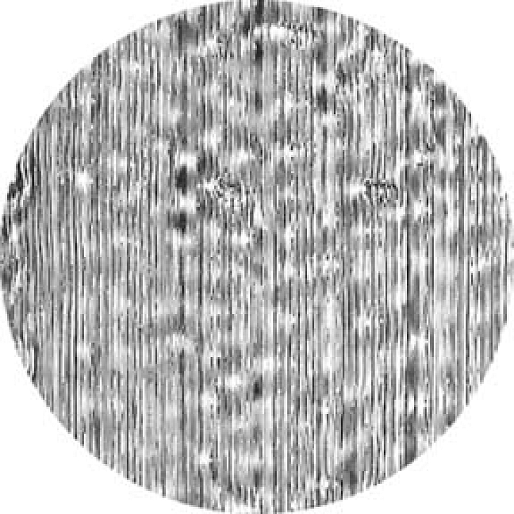 gobo 33618 - Wood Grain