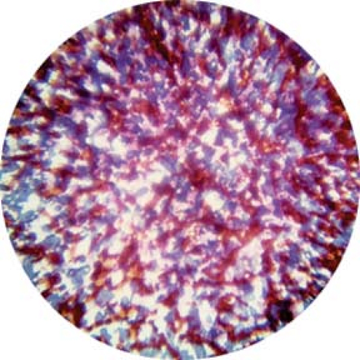 gobo 55006 - Red, Blue and Lavender