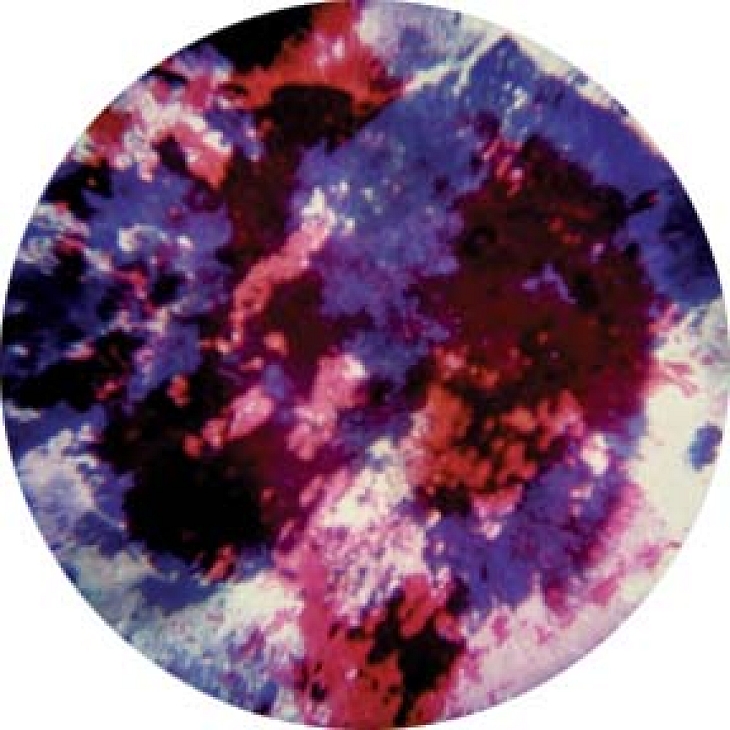 gobo 56101 - Cool: Blues, Reds and Lavenders