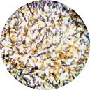 gobo 56201 - Blue, Lavender and Yellow