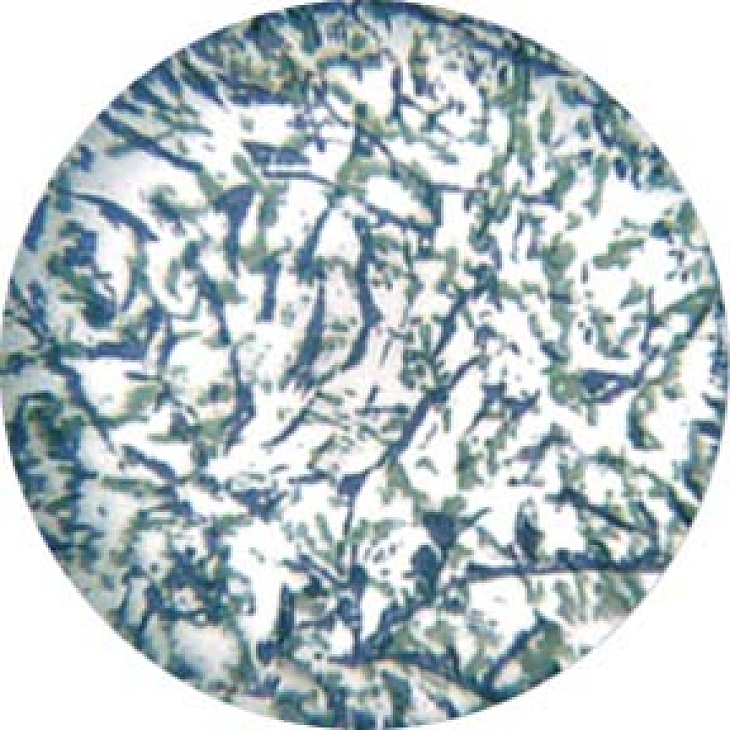 gobo 56202 - Blue and Green