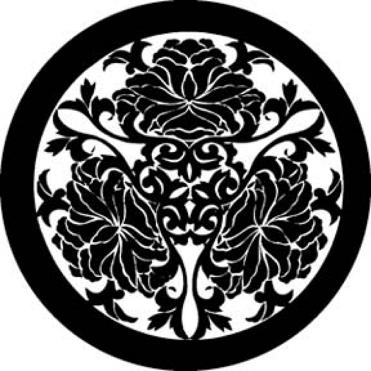 gobo 81172 - Chrzsanthemums