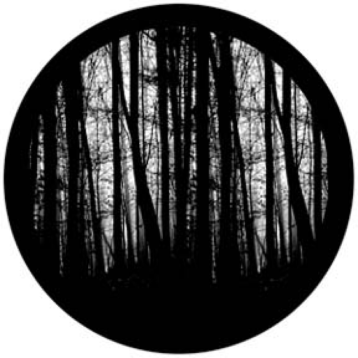 gobo 81175 - Blair Woods