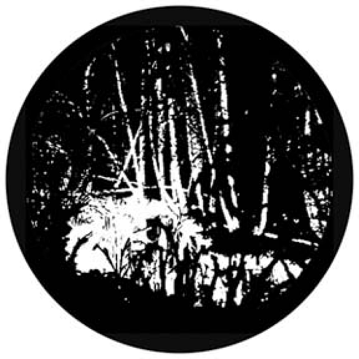 gobo 81176 - Swamped