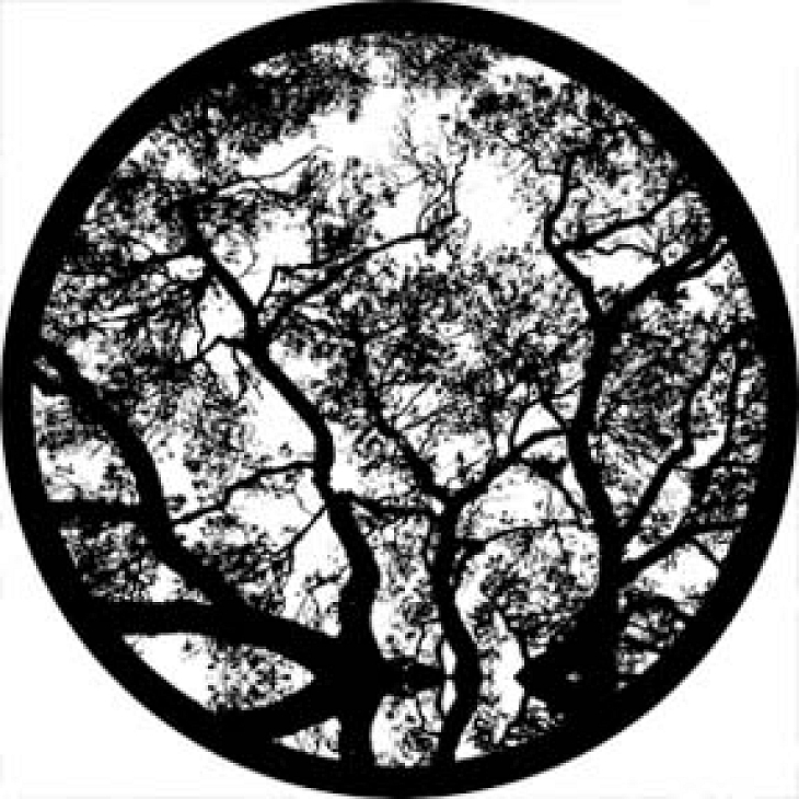 gobo 81177 - Skyward