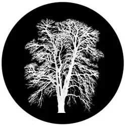 gobo 81179 - Barren Inverted