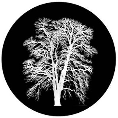 gobo 81179 - Barren Inverted