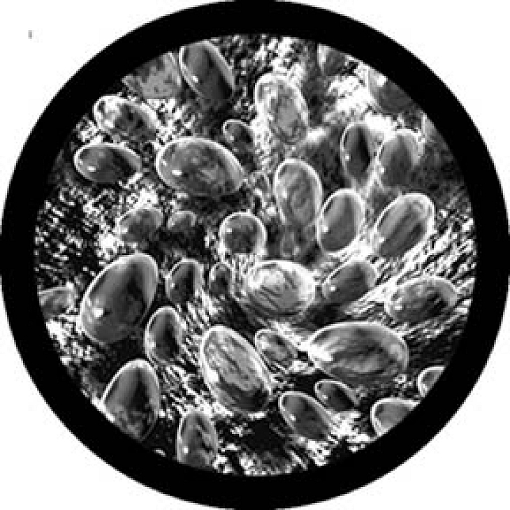 gobo 82201 - Whirpool