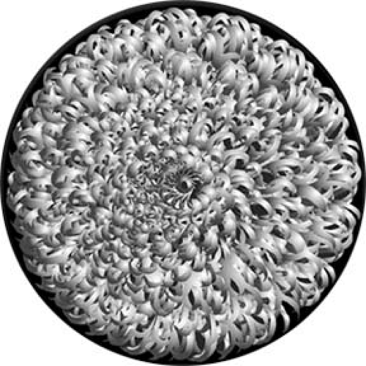 gobo 82707 - Rhapsody