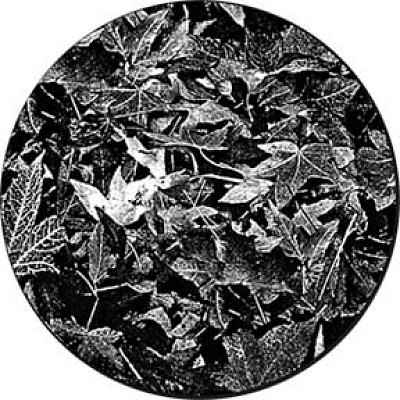 gobo 82732 - Leaves Breakup