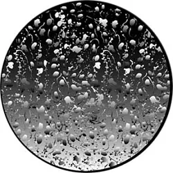 gobo 82750 - Organic Bubbles