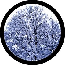gobo 86684 - Winter Solstice