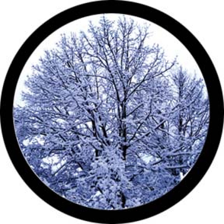 gobo 86684 - Winter Solstice