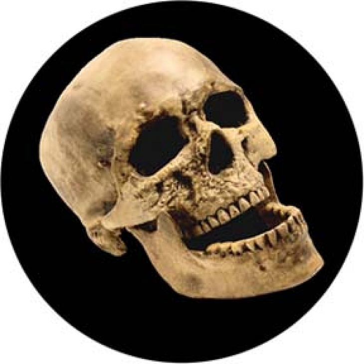 gobo 86686 - Laughting Skull