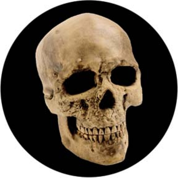 gobo 86687 - Yorick Skull